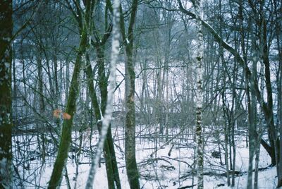 Showcase photo thumbnail 4 of 5